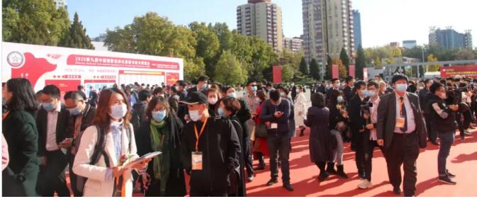 QQ截圖20210610152806.jpg QQ截圖20210610152806.jpg